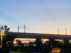 -宝安西湾红树林湿地公园