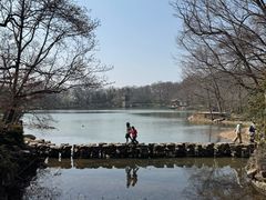 -紫霞湖公园