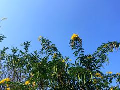 -贵阳市花溪国家城市湿地公园