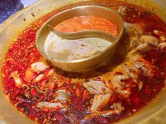 牛蛙锅底-哥老官重庆美蛙鱼头(圆融广场店)