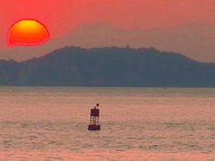 -演武大桥观景平台