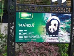 -成都动物园