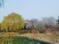 -钓鱼台国宾馆