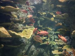 -福州罗源湾海洋世界旅游区