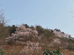 -北京海湾半山酒店-加咖啡西餐厅