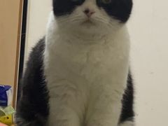 -芭比堂动物医院广州顽皮分院