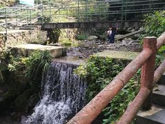 -藏龙百瀑风景区