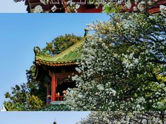 -中山公园