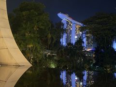 -新加坡丽思卡尔顿美年酒店