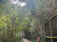 -马峦山郊野公园