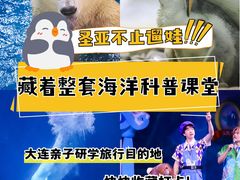 -大连圣亚海洋世界