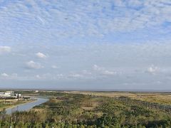 -上海市第六人民医院(临港院区)