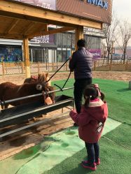 -萌宠亲子动物乐园(槐房万达店)