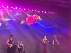 -苏州希尔顿酒店-宴会厅