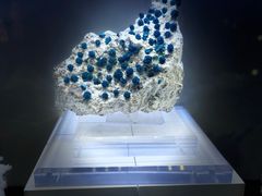 -中国地质大学逸夫博物馆