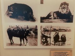 -北京动物园-畅观楼