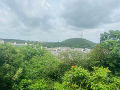 -佛山华盖山公园