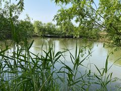 -长兴太湖图影湿地文化园