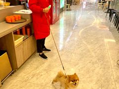 -海底捞火锅(步步高新天地店)