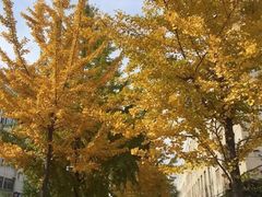 -东北大学(南湖校区)