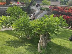 -红螺寺