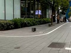 -涩谷全向十字路口