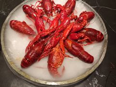 -红盔甲·小龙虾(人民广场店)
