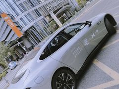 -欢乐海岸椰林沙滩-2025湾区超级灯会