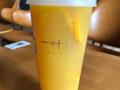 -一叶觅山(半边街店)