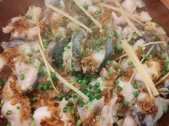 -围龙屋客家食府(福田店)