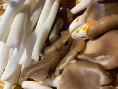 -楠火锅(仁恒梦中心店)