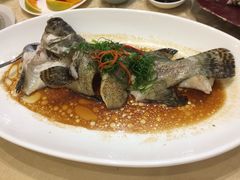 -广东海鲜坊(世纪海伦店)