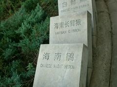 -北京麋鹿生态实验中心