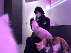 -极木²邸 人与宠物·互动社区