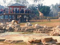 -大连森林动物园