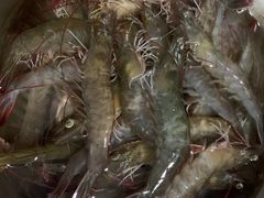 -渔人湾码头海鲜市场负二楼
