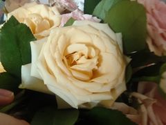 -循礼门鲜花花市(武汉循礼门店)