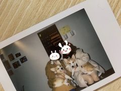 -汪说·狗咖(旺城大厦店)