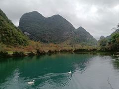 -靖西鹅泉风景区