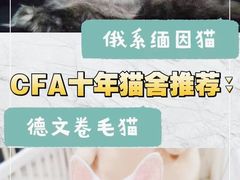 -十年猫舍·猫咪专门店(普陀店)