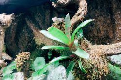 -酷嗒动物文化乐园(cutezoo西溪乐天城店)