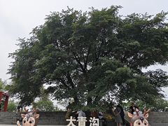 -大青沟风景区