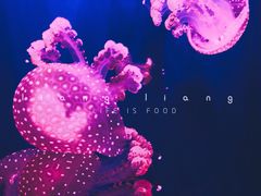 -华夏文旅西安度假区