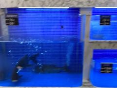 -香山湖渔家大院