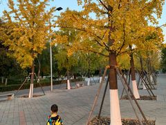 -北京园博大酒店