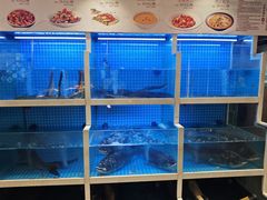-聚丰园•湖鲜餐厅(阿红私房菜梅石路店)