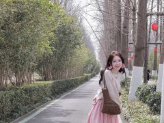 -合肥滨湖国家森林公园