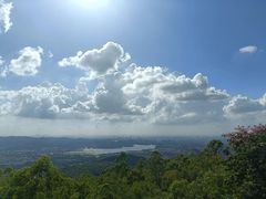 -水濂山森林公园