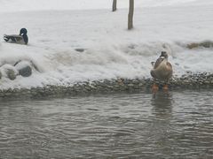 -水磨沟公园