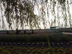 -兰陵国家农业公园